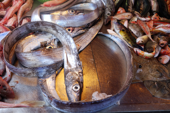 Marché de Syracuse, le poisson sabre