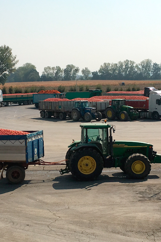 Les camions en attente des test de qualité